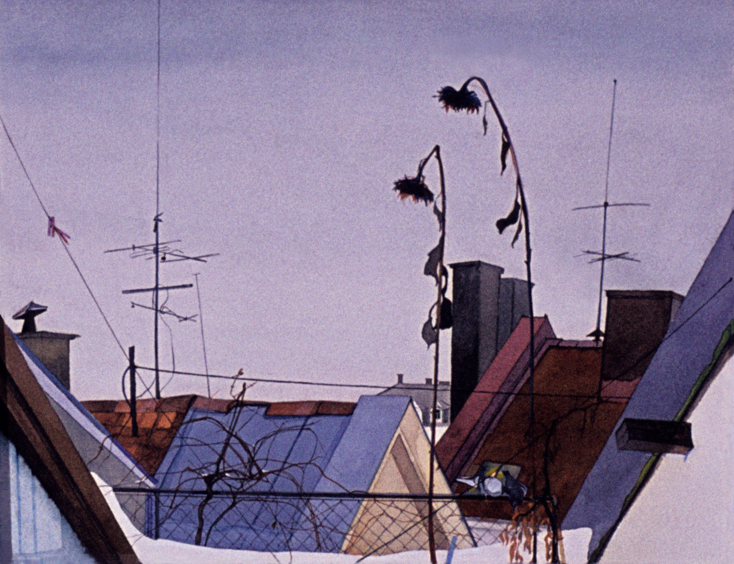 Veranda, Ullevålsveien. akvarell, 27 x 40 cm, 1977